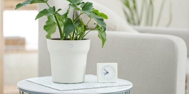 Smart Flower Pot