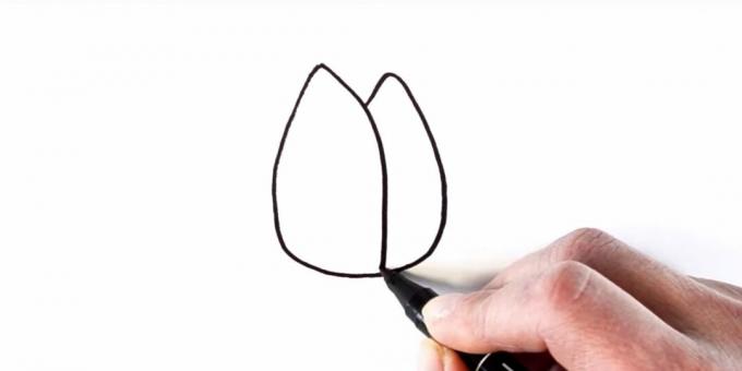 Hoe een tulp te tekenen: schets de bloembladen