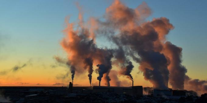 "The Sixth Extinction": Elk jaar zenden we in de atmosfeer ongeveer 9 miljard ton koolstof