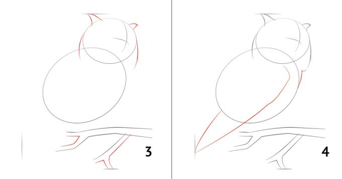 Hoe maak je een uil te tekenen