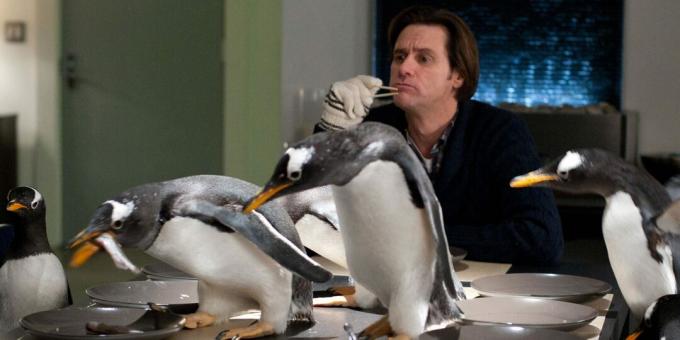 Penguin Movies: Mr.Popper's Penguins