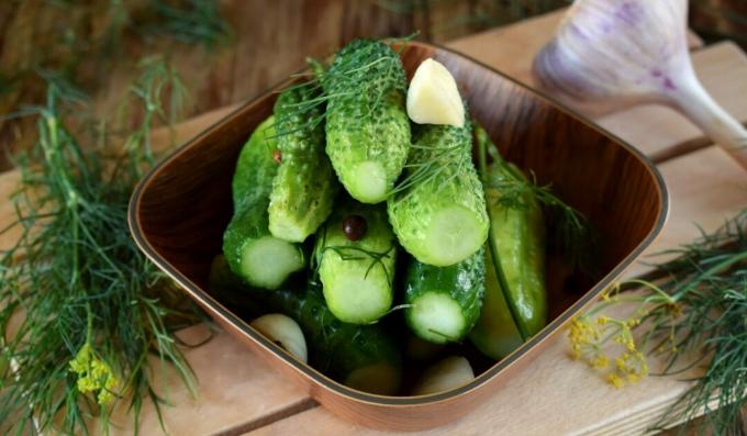 Licht gezouten komkommers in een pan