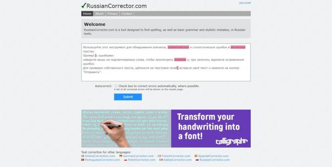 Online interpunctiechecker: RussianCorrector.com