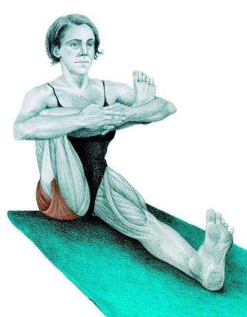 Anatomie van stretching: houding half zittend duif