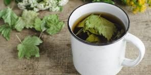 Waarom denk je besbladeren en make thee verzamelen