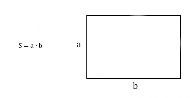 Hoe de oppervlakte van een rechthoek te vinden door twee aangrenzende zijden te kennen