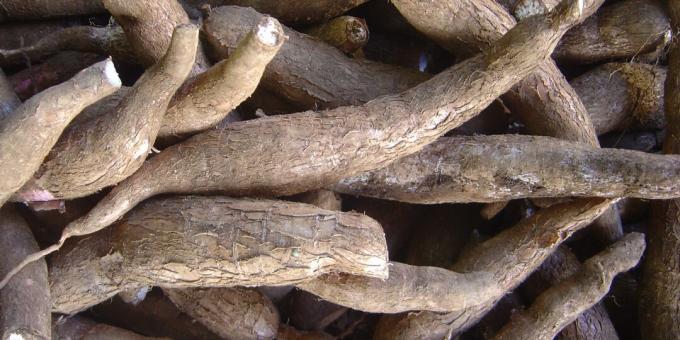 Schadelijke producten: cassave