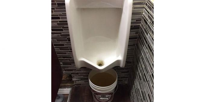 Ontwerp van restaurants: urinoir in het toilet