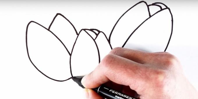 Hoe een tulp te tekenen: voeg het linker bloemblad toe