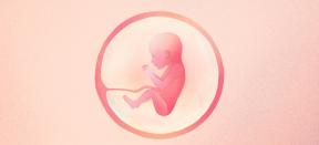 21e week van de zwangerschap: wat gebeurt er met de baby en moeder - Lifehacker