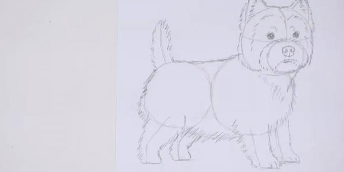 Teken het lichaam en de staart van de hond