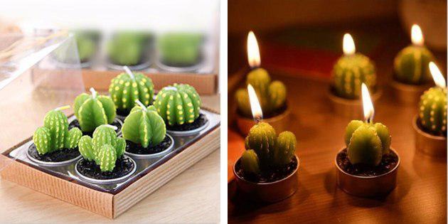 Kaarsen, cactussen