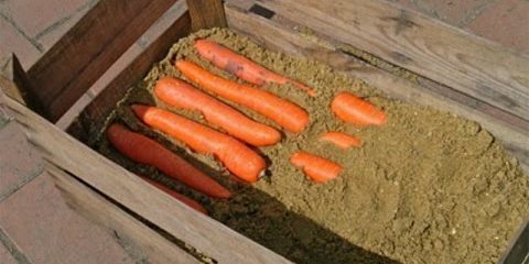 Hoe te wortelen in de vakken op te slaan: Alternate lagen tot aan het einde van de wortel