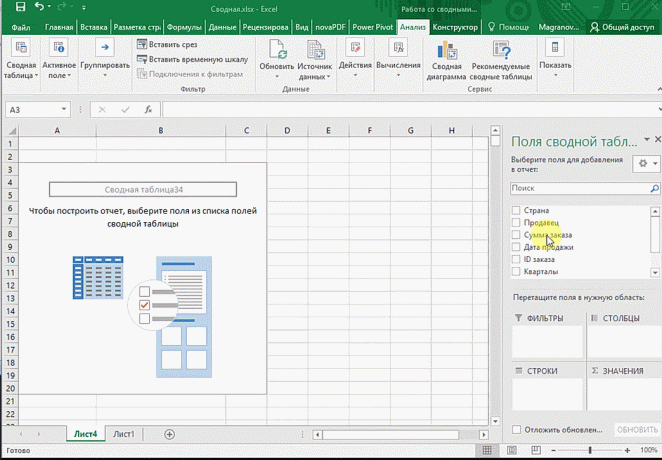 Draaitabellen in Excel