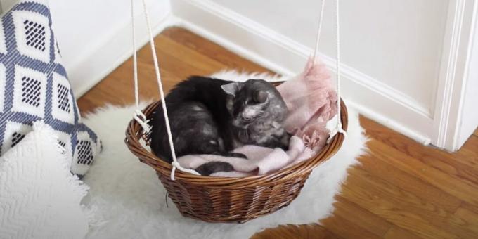 Hoe maak je een hangmat bed voor een kat uit een mand