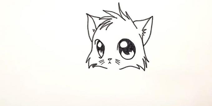Hoe anime kat te trekken: Teken shorstku in het onderste deel van de kop