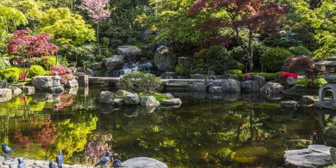 Wat te zien in London: Japanse Kyoto Garden in Holland Park