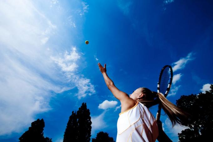 zomer squash 