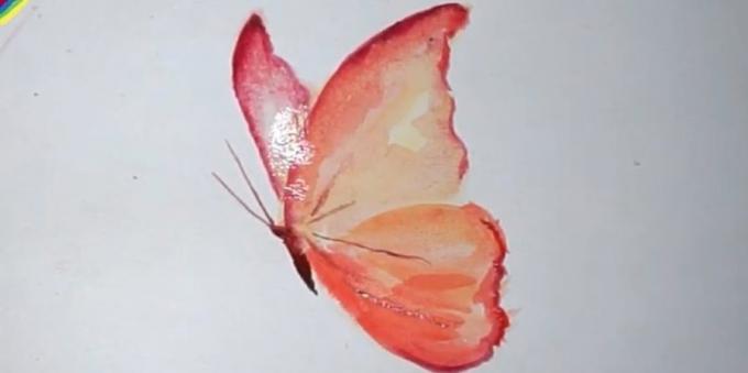 Hoe maak je een realistische vlinder kleuren trekken