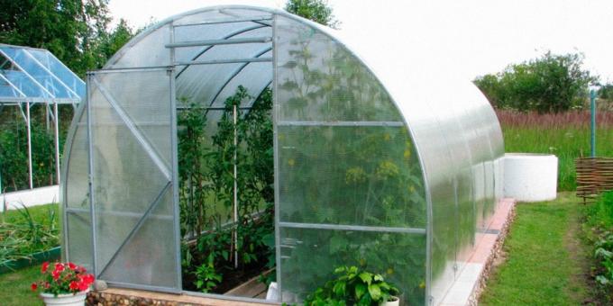 Wintertuin met zijn eigen handen gemaakt van polycarbonaat met metalen frame