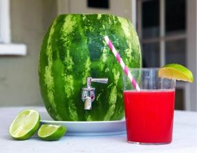 Hoe maak je een vat van watermeloen te maken met dispenser en genieten van verse sap