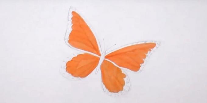 Teken cirkels op de randen van de onderste vleugels en een oranje markering naar hoogtepunt de details