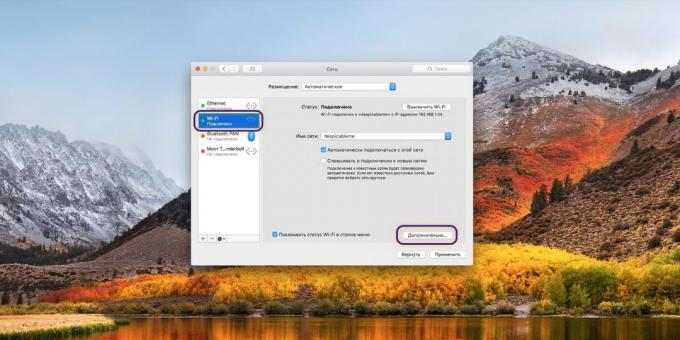 DNS-server omgeving op MacOS