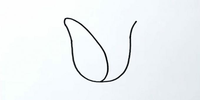 Hoe een tulp te tekenen: teken het linker bloemblad