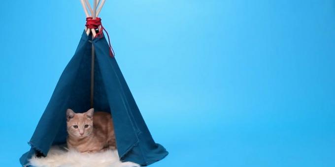 Hoe maak je een huis-tent voor een kat van de rails en de stof met uw handen maken