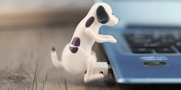Lustful flash drive hond