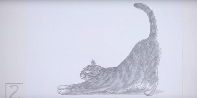Hoe maak je een kat die zich in een realistische stijl te trekken