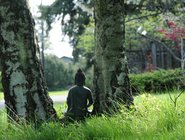 Angststoornis kan worden overwonnen door middel van meditatie