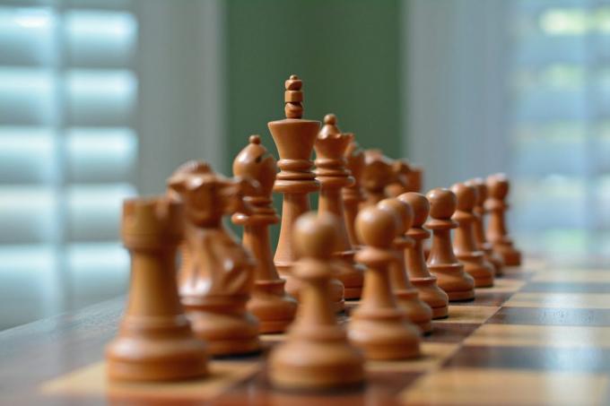 hoe om te leren schaken