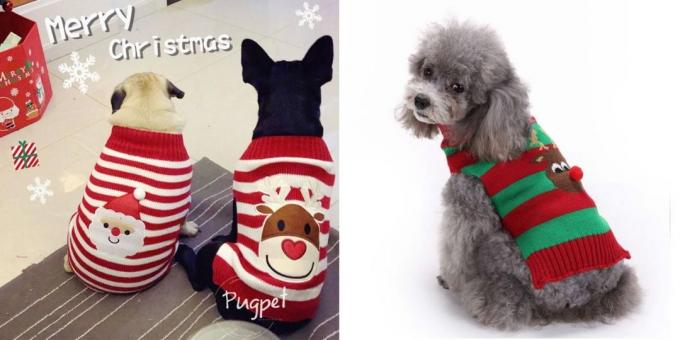Kerst kostuums voor honden: trui