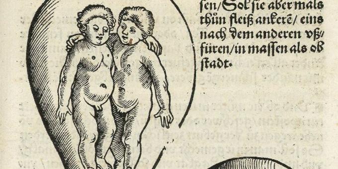 Kinderen van de Middeleeuwen: Tweelingen in de baarmoeder, Eucharius Rodion