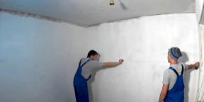 Hoe maak je een plafond van gipsplaat met hun handen