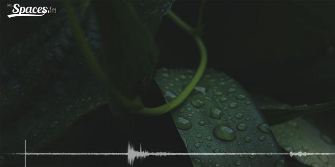 Binaural geluid van regen voor de concentratie