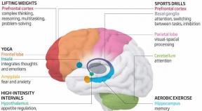 Hoe verschillende typen training invloed op onze hersenen
