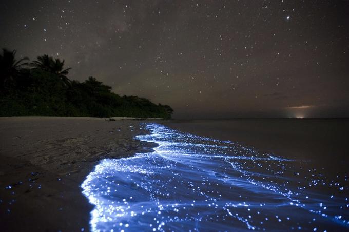 Bioluminescent Beach - Vaadhoo, Malediven beste stranden