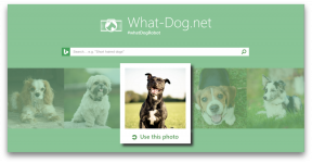 Fetch - innovatie van Microsoft, die zal halen uw hond in uw foto