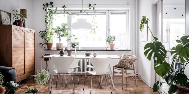 Scandinavische stijl in het interieur: levende planten