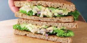 10 recepten voor geweldige sandwiches voor elk wat wils