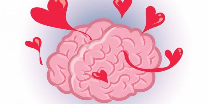 feiten over de hersenen: Love