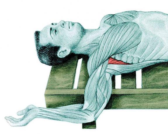 Anatomie rekken: strekken van de schouder