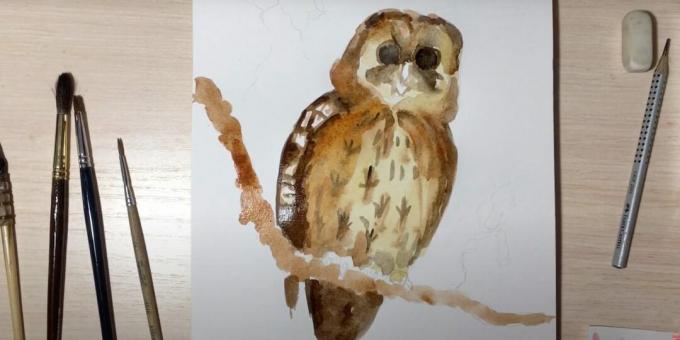 Hoe een uil te tekenen: schilder over een tak en maak de vogel helderder