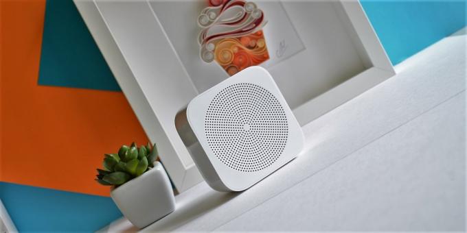 Xiaomi WiFi Online Radio: uiterlijk