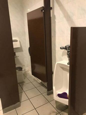 toilet ontwerp