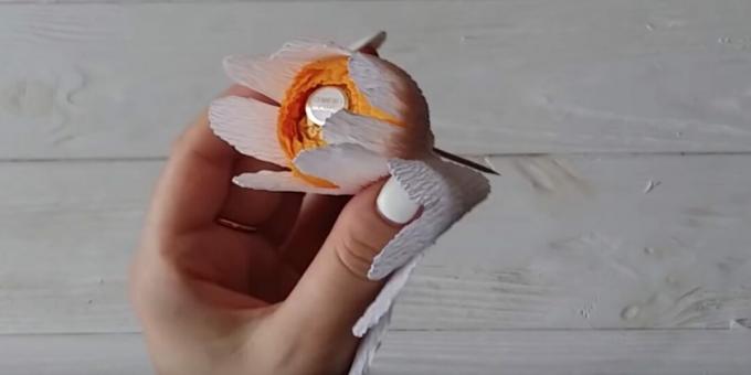 Hoe maak je met je eigen handen een boeket snoepjes: maak de eerste rij bloemblaadjes