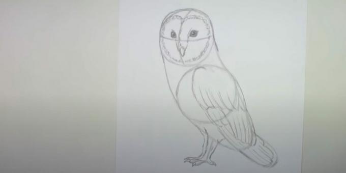 Hoe een uil te tekenen: teken een tweede poot en schets een vleugel