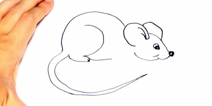 Hoe een rat te tekenen: teken een poot en buik